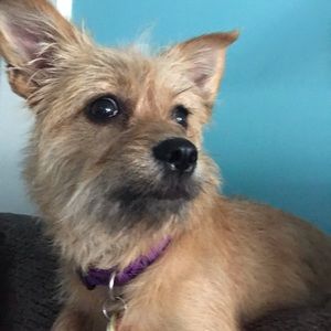 Meet your Posher, Gina